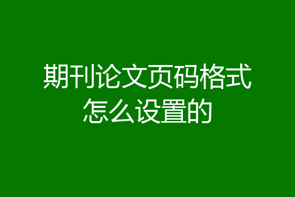 期刊论文页码格式怎么设置的