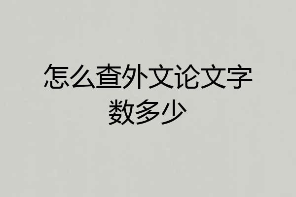 怎么查外文论文字数多少