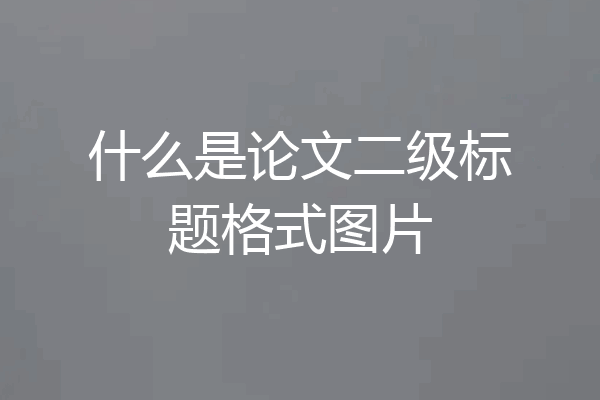 什么是论文二级标题格式图片