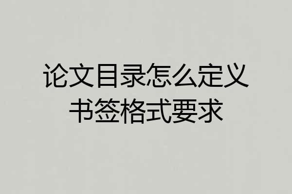 论文目录怎么定义书签格式要求