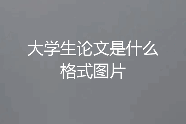 大学生论文是什么格式图片