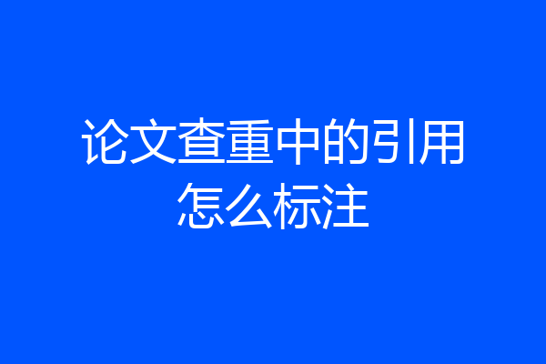 论文查重中的引用怎么标注