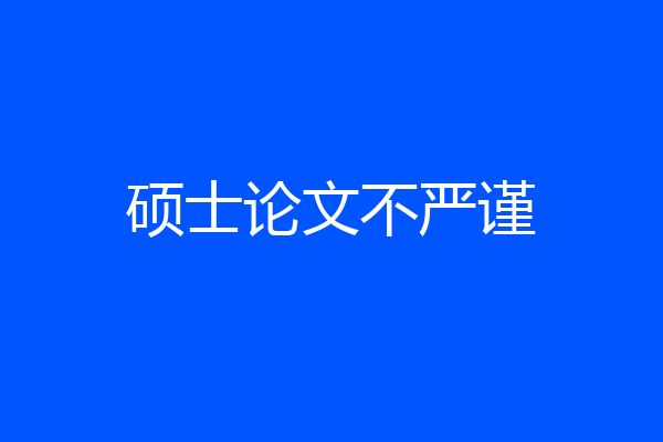 硕士论文不严谨
