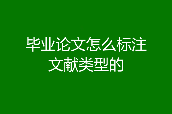 毕业论文怎么标注文献类型的