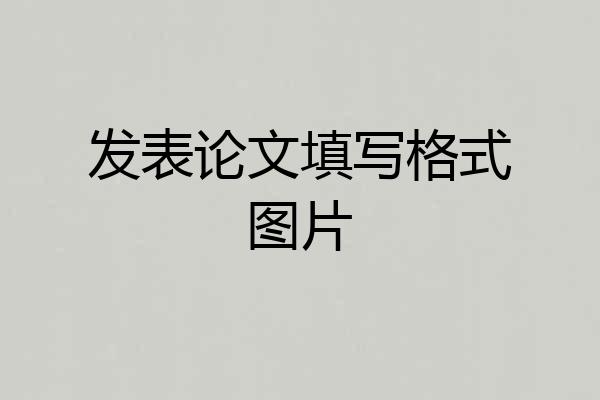 发表论文填写格式图片