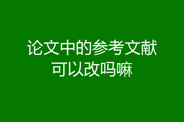 论文中的参考文献可以改吗嘛