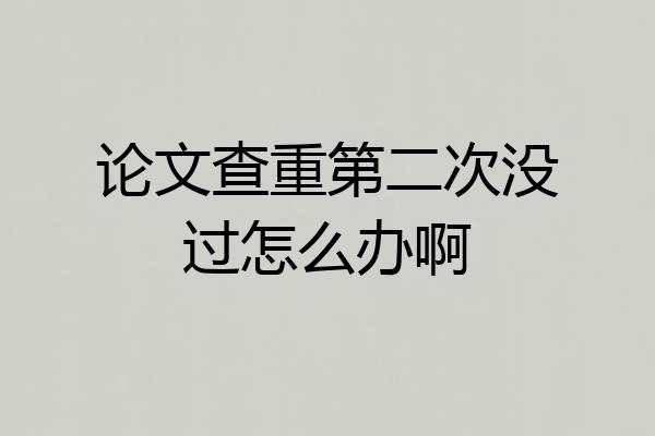 论文查重第二次没过怎么办啊