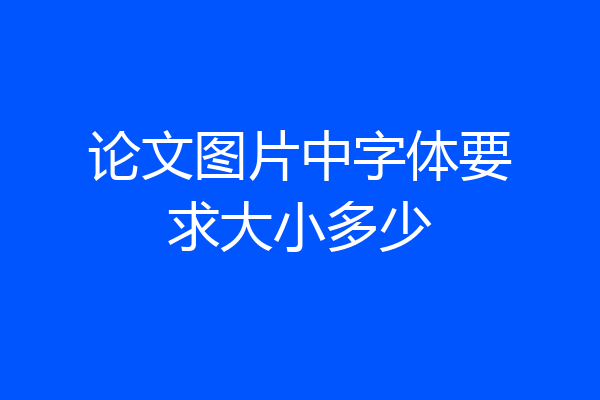 论文图片中字体要求大小多少