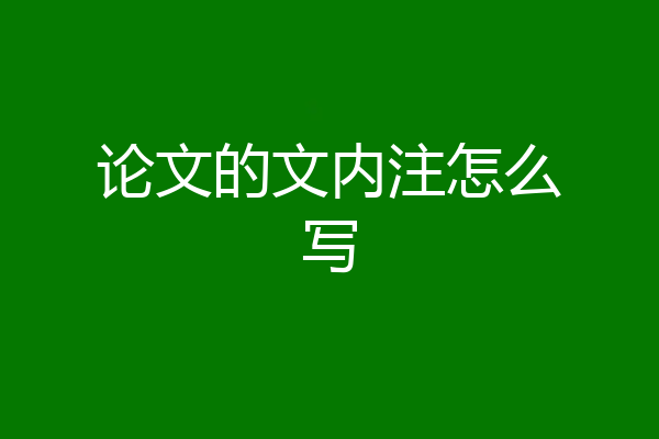 论文的文内注怎么写