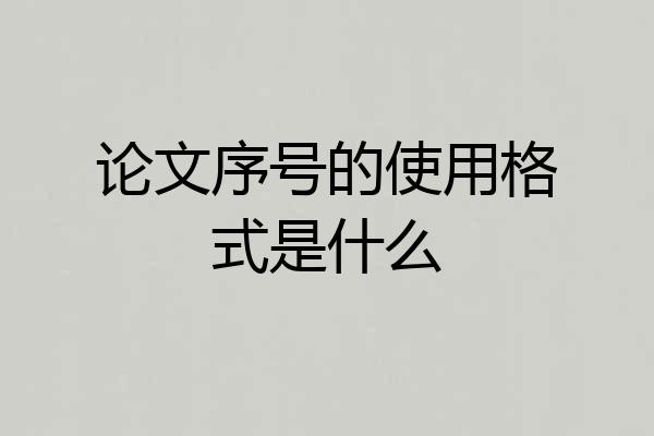 论文序号的使用格式是什么