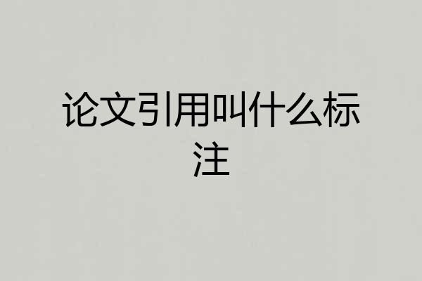 论文引用叫什么标注