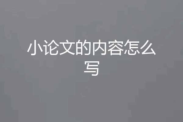小论文的内容怎么写