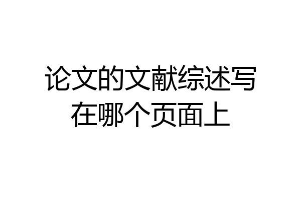 论文的文献综述写在哪个页面上