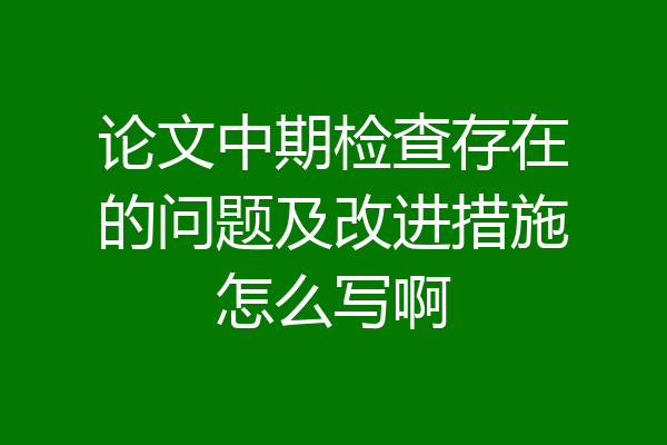 论文中期检查存在的问题及改进措施怎么写啊