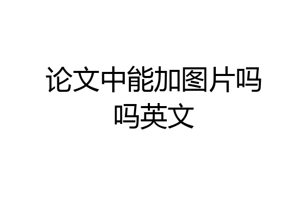 论文中能加图片吗吗英文