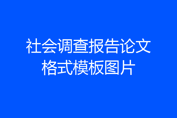 社会调查报告论文格式模板图片