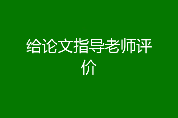 给论文指导老师评价