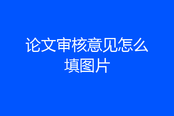 论文审核意见怎么填图片