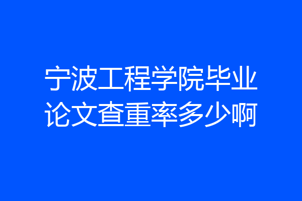 宁波工程学院毕业论文查重率多少啊