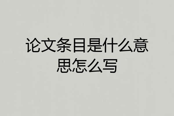 论文条目是什么意思怎么写