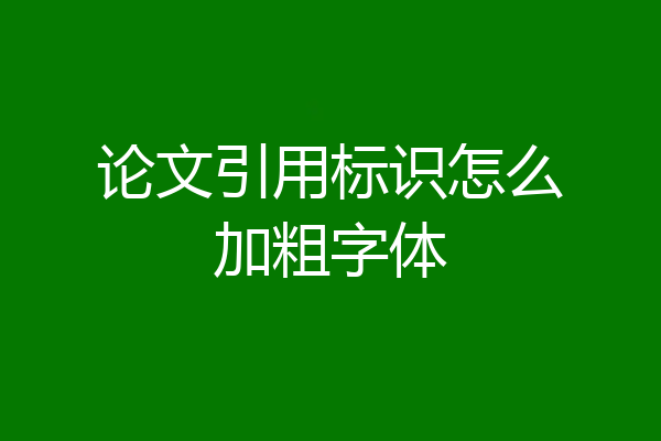 论文引用标识怎么加粗字体