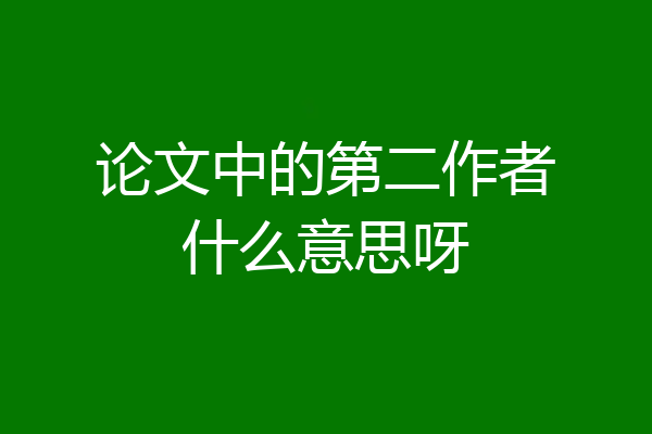 论文中的第二作者什么意思呀