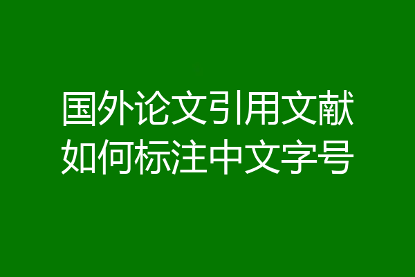 国外论文引用文献如何标注中文字号