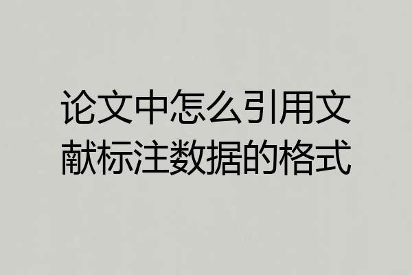 论文中怎么引用文献标注数据的格式