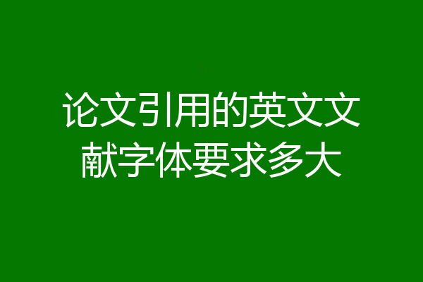 论文引用的英文文献字体要求多大
