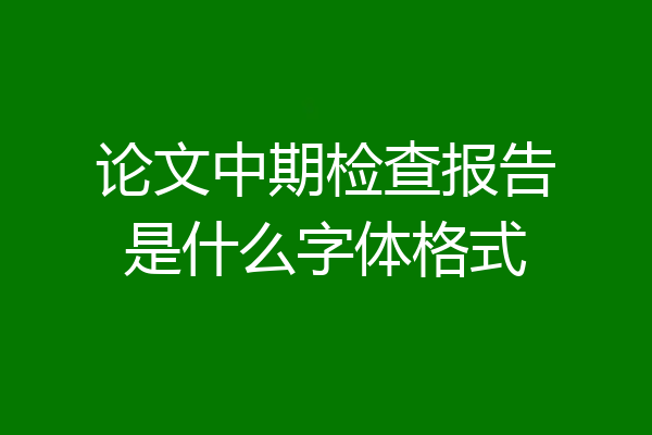 论文中期检查报告是什么字体格式