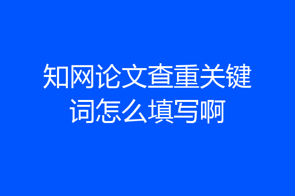 知网论文查重关键词怎么填写啊