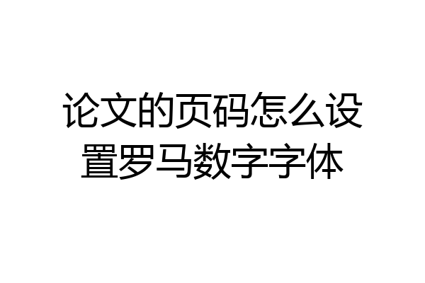 论文的页码怎么设置罗马数字字体