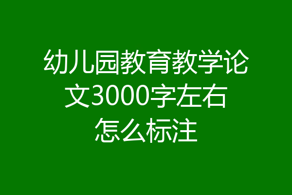 幼儿园教育教学论文3000字左右怎么标注