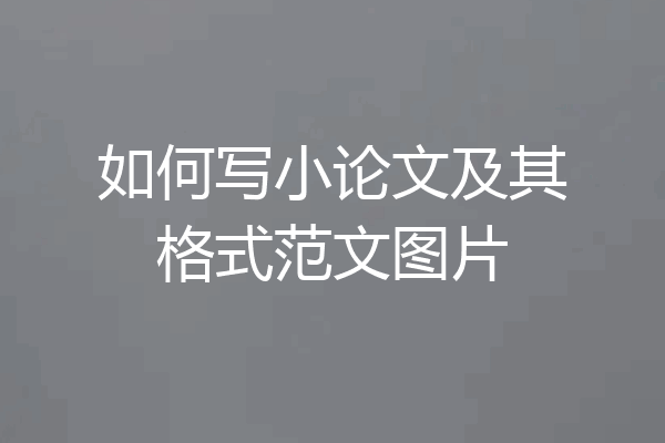 如何写小论文及其格式范文图片