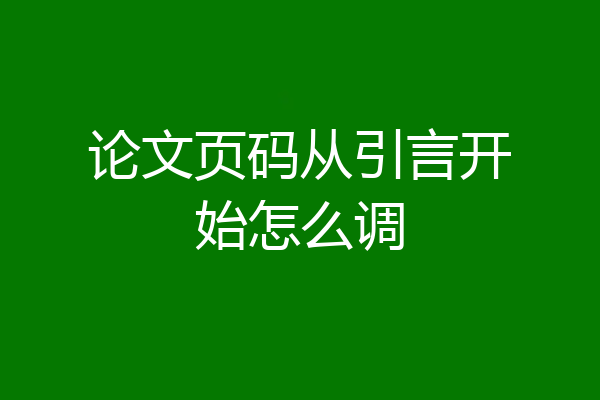 论文页码从引言开始怎么调