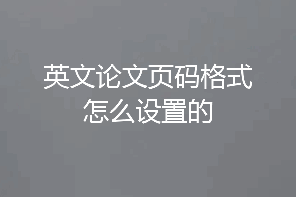 英文论文页码格式怎么设置的