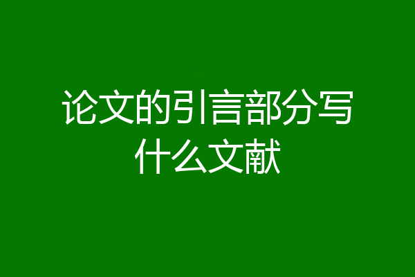 论文的引言部分写什么文献