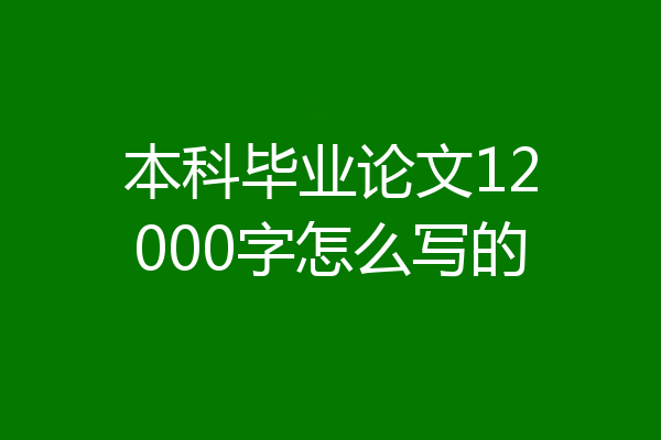 本科毕业论文12000字怎么写的