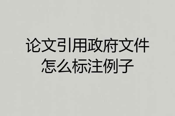 论文引用政府文件怎么标注例子