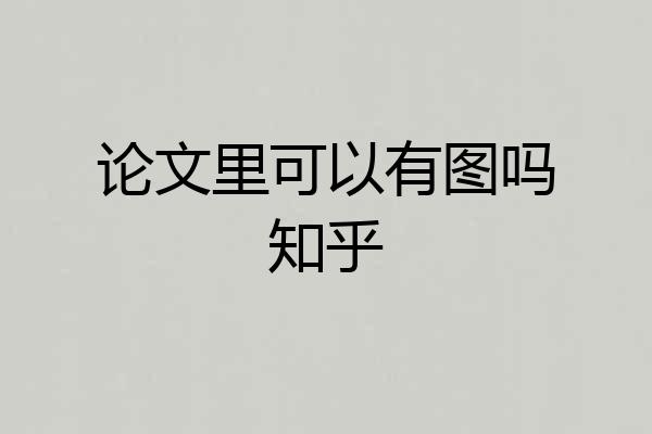 论文里可以有图吗知乎