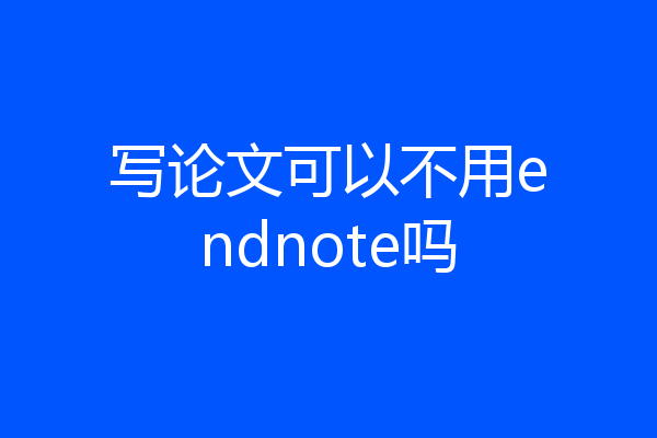 写论文可以不用endnote吗