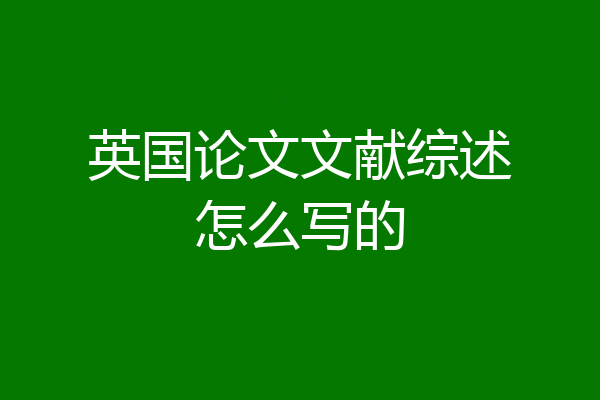 英国论文文献综述怎么写的