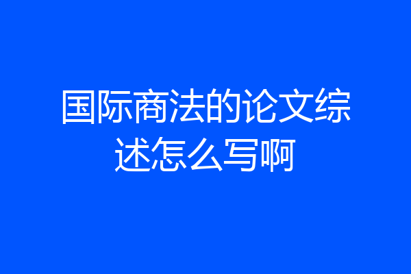 国际商法的论文综述怎么写啊