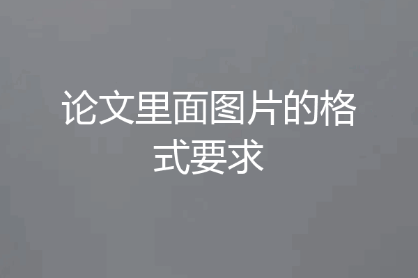 论文里面图片的格式要求