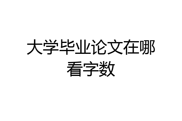 大学毕业论文在哪看字数