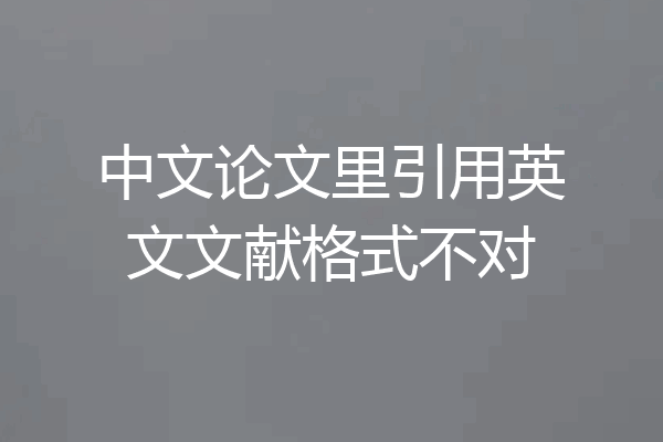 中文论文里引用英文文献格式不对