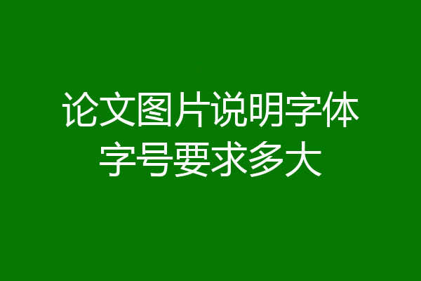 论文图片说明字体字号要求多大