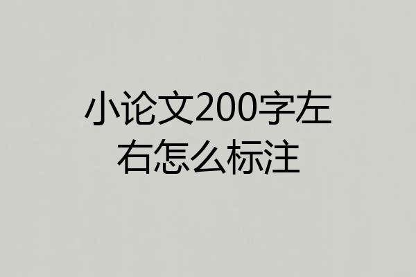 小论文200字左右怎么标注