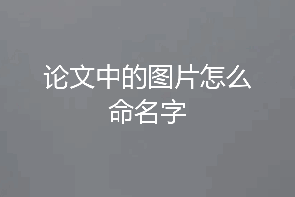 论文中的图片怎么命名字