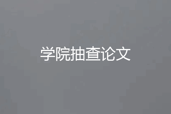 学院抽查论文